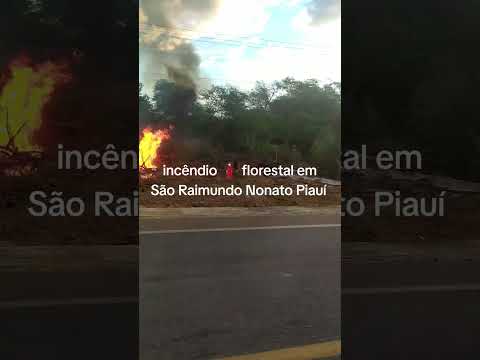 incêndio 🧯 florestal em São Raimundo Nonato Piauí #likeandsubscribe