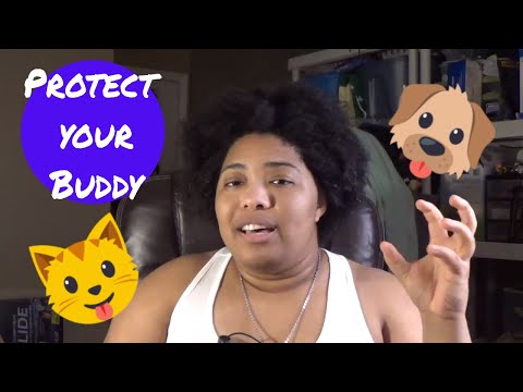 How to Get Your Pet Protected as an Emotional SUPPORT Animal (ESA)