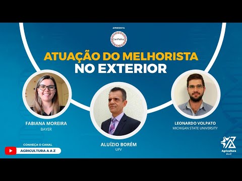 Atuação do ''melhorista" no exterior
