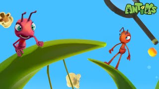 Joey and Boo’s Sunny Day! ☀️ Ant Adventures and Fun | Learn, and Laugh Silly Moments for Kids