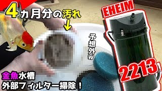 【金魚水槽】導入後初めての外部フィルター掃除！エーハイム2213
