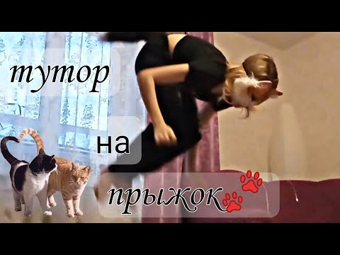 Туториал на прыжок (квадробика)