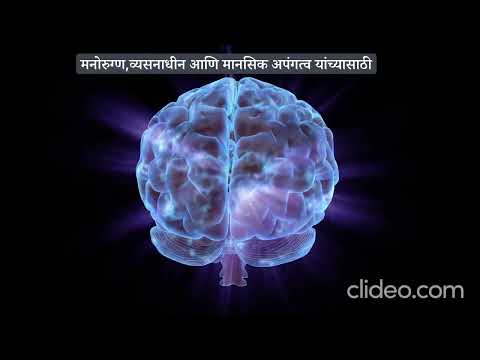 Memory and Cognition Activity