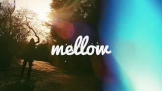 Shy Luv - Nightingale