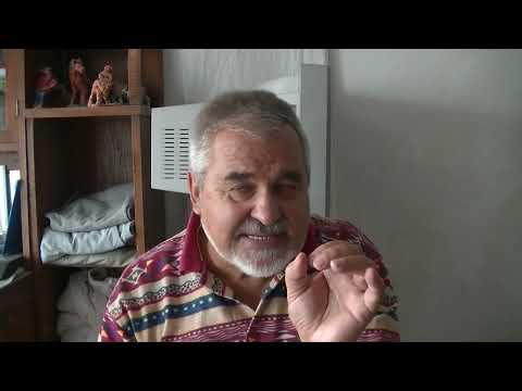 A kaizális asztrológia I. A kaizális asztrológia I.