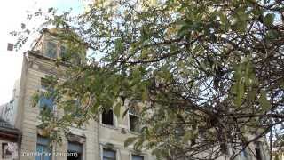 preview picture of video 'Vor dem Abriss - Haus an der Limbacher Strasse 37 / Chemnitz 24.10.2013'