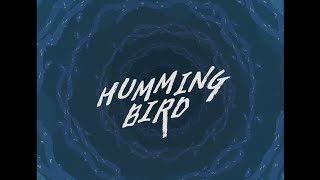 Run River North - Hummingbird (Official Music Video)
