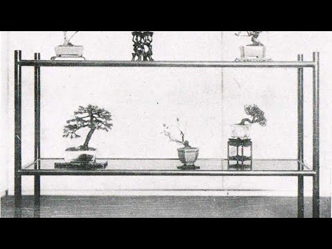Shohin Bonsai Display - a history and introduction - Live Stream with Peter Warren