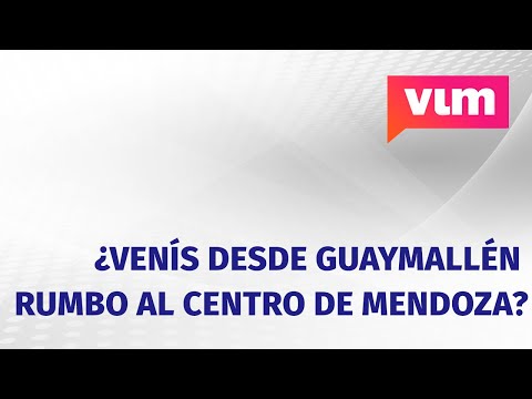 ¿Venís desde Guaymallén rumbo al centro de Mendoza? Árbol caído en O’Brien cortó el tránsito
