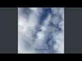 Free as a Bird