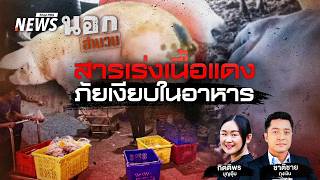 ตำรวจ ปคบ.ร่วมปศุสัตว์ อายัดโคเนื้อเกือบพันตัว หลังพบสารเร่งเนื้อแดง | นอกสำนวน | 18 ก.ย.69
