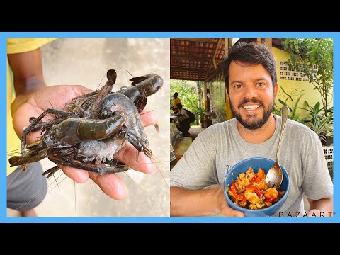 Provando LAGOSTA 🦞 SELVAGEM de rio e Comida de ROÇA em ITACARÉ na Bahia| RIO4FUN