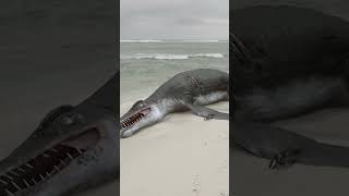 To survive it must eat flies from a giant carcass while avoiding predators
