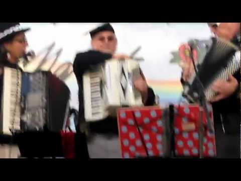 Rock Guitar Legend comes out of the Accordion Closet !