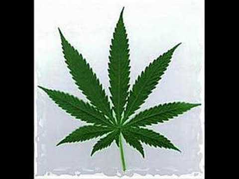 Coreman - Ganja Song Video