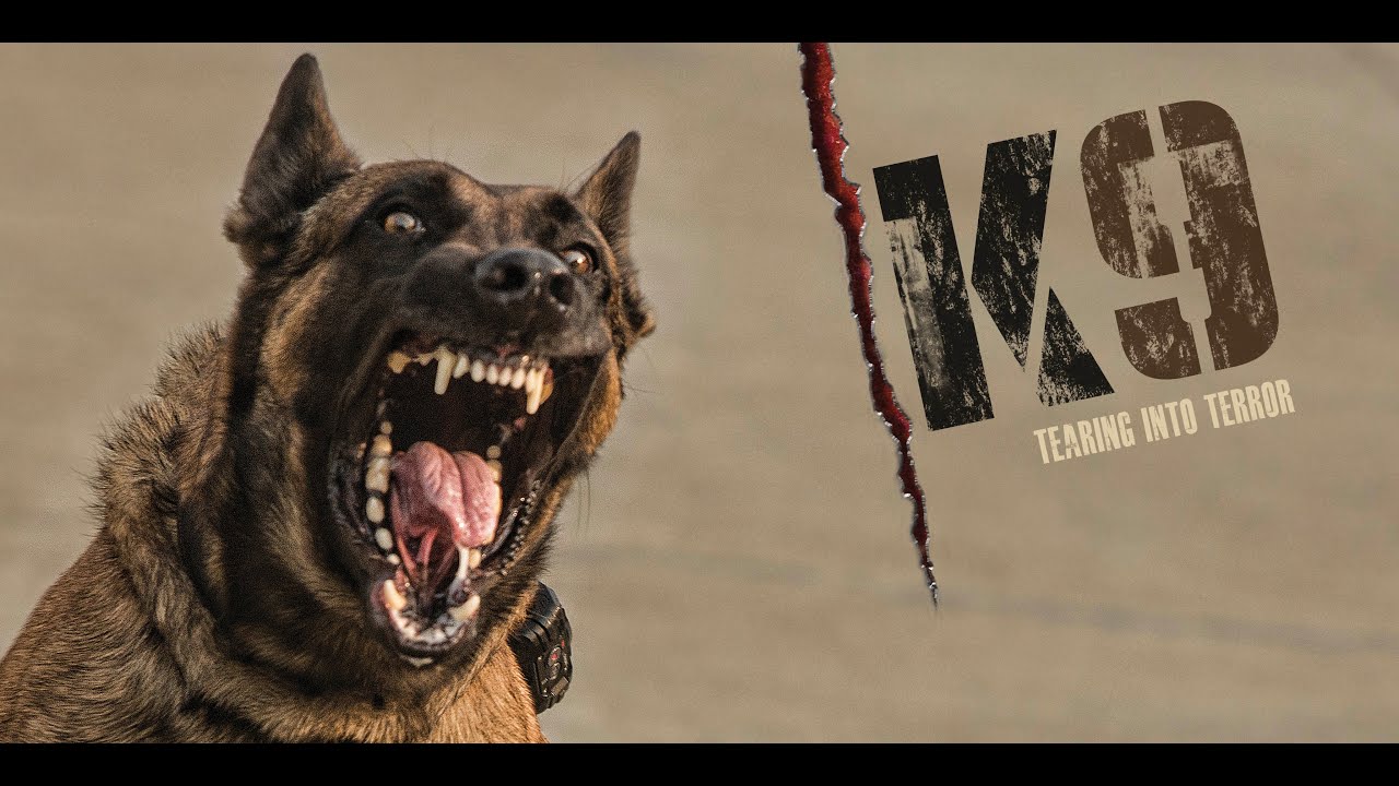 K9: Belgian Malinois in Action official poster