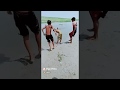Badwap Seen Dance