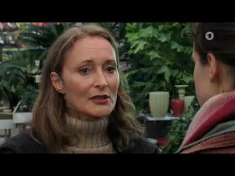 Unter weißen Segeln – Kompass der Liebe