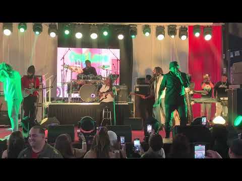 Kymani Marley, Julian Marley & Maffio - Blessed- filmed by BR Lion Gainsburgh a/k/a White Lion.