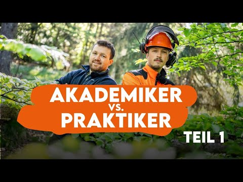 Who's better in the forest? FORESTER vs. FORESTMAN (1/2) - Forestry Explained