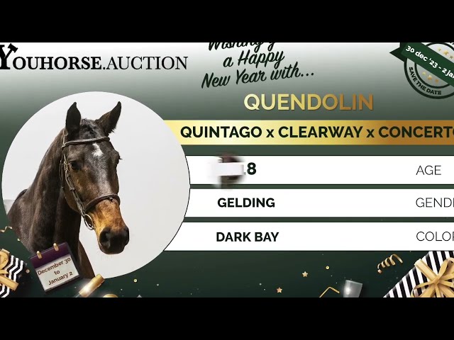 Quendolin jumping @ home