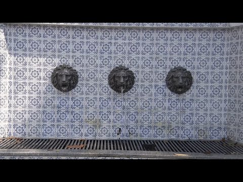 Teresópolis é conhecida por suas fontes, mas muitas têm água imprópria para consumo