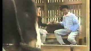 ytt  I&#39;ve got you babe