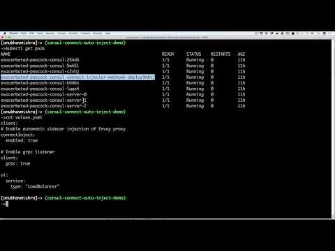 Showcasing Automatic Consul Connect Sidecar in Kubernetes