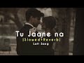 Tu Jaane na ❤️‍🩹🎧 |Slowed+Reverb| #lofi 👀🎶🍷