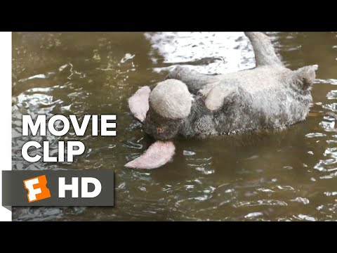 Christopher Robin Movie Clip - Eeyore Rescue (2018) | Movieclips Coming Soon