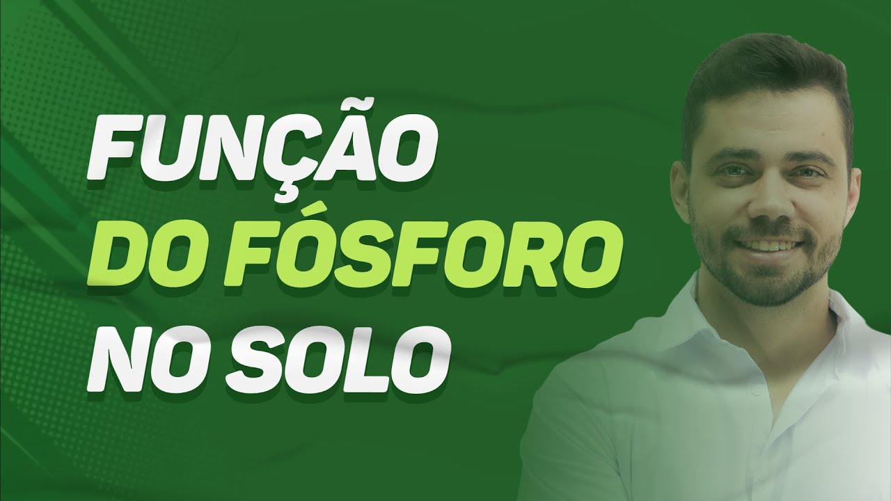 QUAL a FUNÇÃO do FÓSFORO no SOLO?