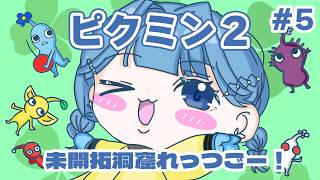 【 ピクミン2 】要注意洞窟、行ってみる【 にじさんじ  / 小々波いるか 】