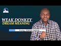 Weak Donkey Dream Meaning - Biblical Interpretation and Symbolism