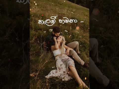 කැලබී හමනා / Kelabi hamana / Nimanthi Chamodini sinhala song