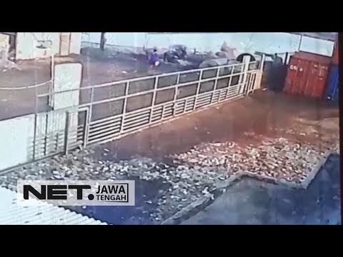Watch lagu Images Videos Detik News Semarang, Watch Images Detik News Semarang free Watch, Watch Images Detik News Semarang
