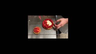 Miniature de la vidéo