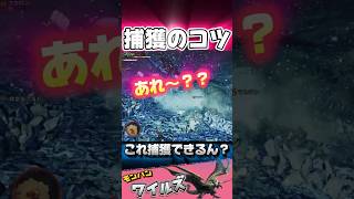 モンハンワイルズ小ネタ　捕獲のタイミング　#モンハンワイルズ #MHwilds #モンハン