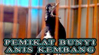 Download lagu PANCINGAN ANIS KEMBANG AGAR SELALU GACOR   #aniskembang mp3