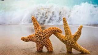 DJ Shah feat Adrina Thorpe Who Will Find Me (Acoustic)