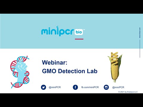 Live Demo: GMO Detection Lab