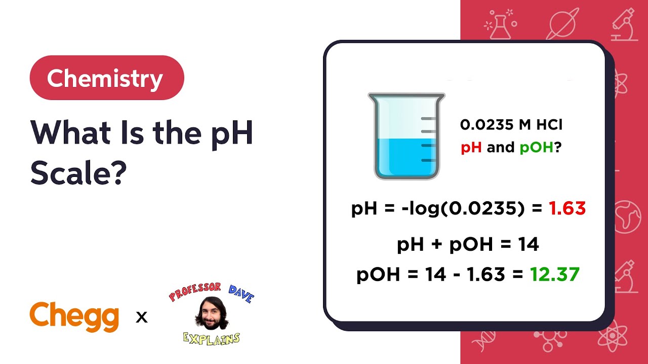 What Is the pH Scale? | Professor Dave & Chegg Explain