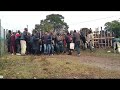Amaxhosa AseMount Frere KuBheja