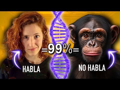 ¿Por qué los HUMANOS pueden HABLAR (y los chimpancés NO)?