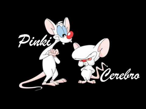 Pinky y Cerebro Temporada 4 audio latino Pinky y Cerebro Temporada 4 audio latino