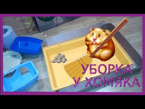 Уборка у хомяка.Нашла ходы хомяка. #Уборкаухомяка#