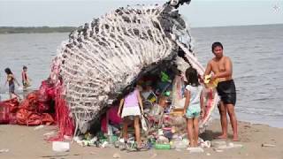 Greenpeace: Dead Whale