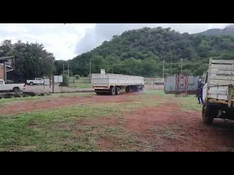 LOT 287 MERCEDES-BENZ 1419