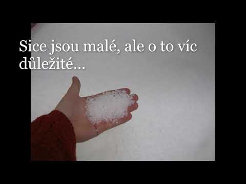 Bachl Bohumilice: PE fólie