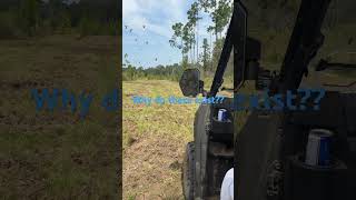 #lovebugs