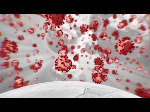 Covid Spike Tri-State Latest